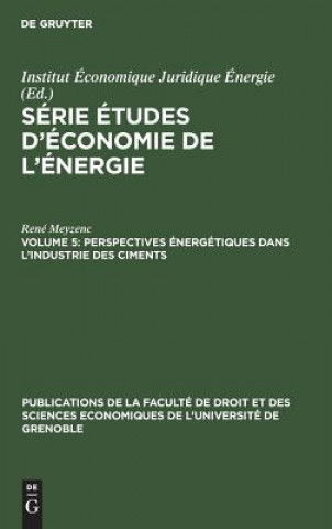 Livre Perspectives energetiques dans l'industrie des ciments Rene Meyzenc