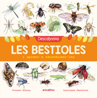 Книга DESCOBREIXO LES BESTIOLES I APRENC A RECONEIXER-LES VINCENT ALBOUY