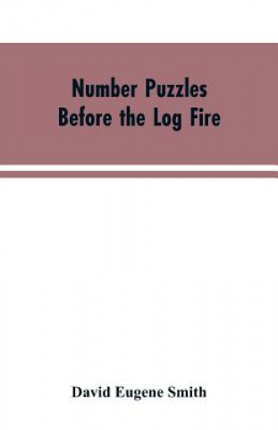 Buch Number Puzzles Before the Log Fire Smith David Eugene Smith