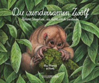 Kniha Die wundersamen Zwölf - Kuriose Säugetiere, die tatsächlich existieren Rae Mariz