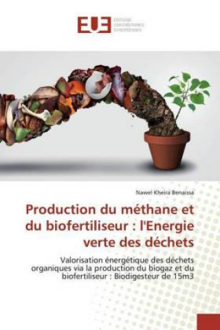 Carte Production du méthane et du biofertiliseur : l'Energie verte des déchets Nawel Kheira Benaissa