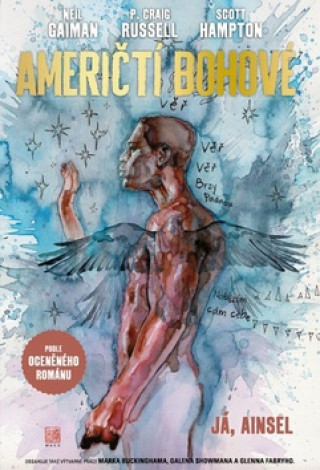 Book Američtí bohové 2 Já, Ainsel Neil Gaiman