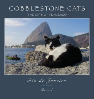 Livro Cobblestone Cats - Rio de Janeiro: The Cats of Flamengo Alan Panattoni