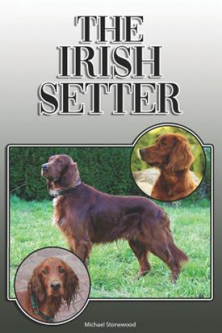 Kniha The Irish Setter: A Complete and Comprehensive Owners Guide To: Buying, Owning, Health, Grooming, Training, Obedience, Understanding and Michael Stonewood