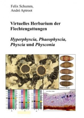 Książka Virtuelles Herbarium der Flechtgattungen Felix Schumm