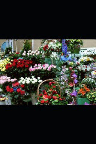 Knjiga El Cementerio de Violines VICTORIA ROCH