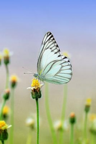 Carte White Butterfly: There Are Over 20,000 Species of Butterflies in the World. Planners and Journals