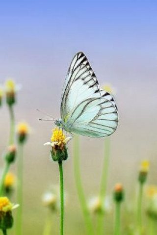 Libro White Butterfly: There Are Over 20,000 Species of Butterflies in the World. Planners and Journals