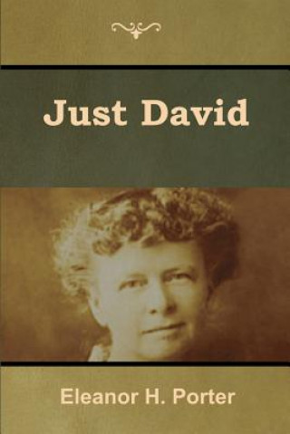 Livro Just David Eleanor H. Porter