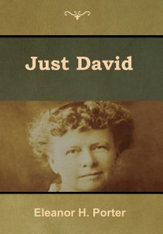 Book Just David Eleanor H. Porter
