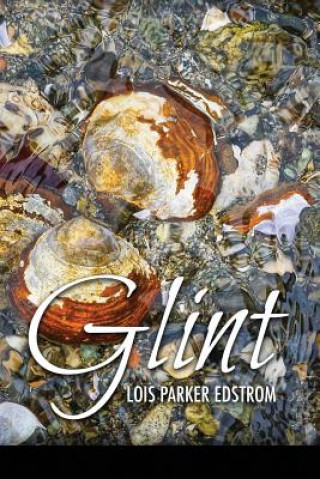 Kniha Glint Lois Parker Edstrom