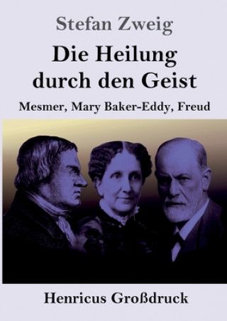 Kniha Die Heilung durch den Geist (Grossdruck) Stefan Zweig