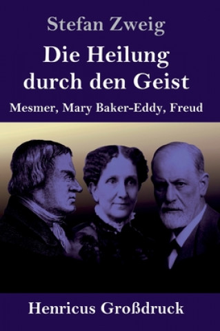 Kniha Die Heilung durch den Geist (Grossdruck) Stefan Zweig