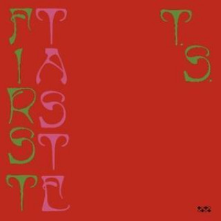 Audio First Taste Ty Segall