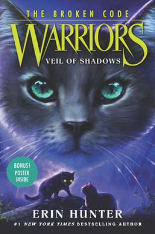 Kniha Warriors: The Broken Code #3: Veil of Shadows HUNTER  ERIN