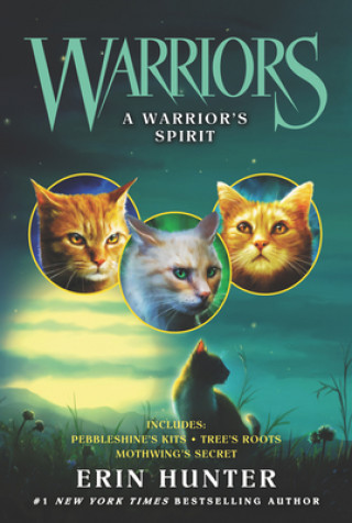 Könyv Warriors: A Warrior's Spirit Erin Hunter