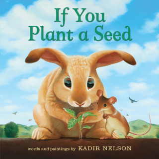 Kniha If You Plant a Seed Kadir Nelson