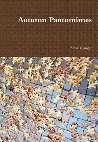 Boek Autumn Pantomimes Steve Conger