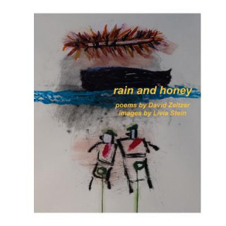 Knjiga Rain and Honey Livia Stein