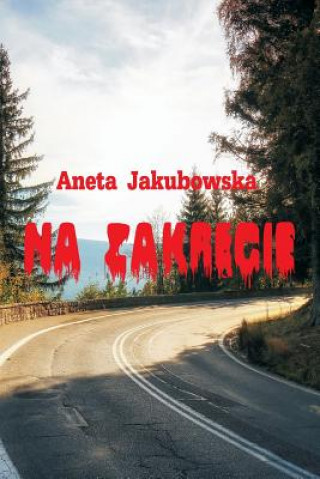 Book Na Zakrecie Aneta Jakubowska