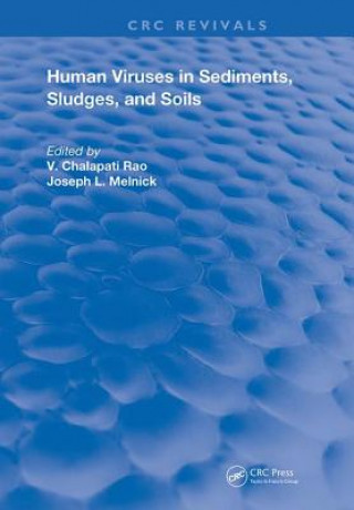 Книга Human Viruses In Sediments Sludges & Soils V. Chalapati Rao