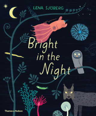 Könyv Bright in the Night Lena Sjoberg
