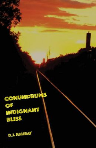 Kniha Conundrums of Indignant Bliss Haliday D. J. Haliday