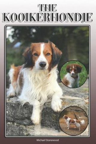 Kniha The Kooikerhondje: A Complete and Comprehensive Owners Guide To: Buying, Owning, Health, Grooming, Training, Obedience, Understanding and Michael Stonewood