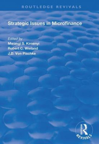 Boek Strategic Issues in Microfinance Mwangi S. Kimenyi