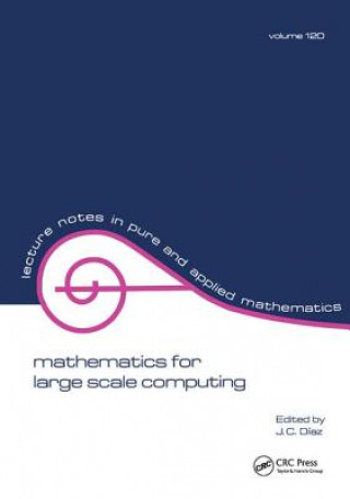 Knjiga Mathematics for Large Scale Computing Julio Diaz