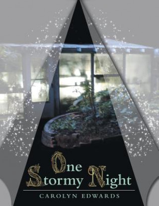 Kniha One Stormy Night Edwards Carolyn Edwards