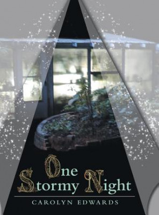 Kniha One Stormy Night Edwards Carolyn Edwards
