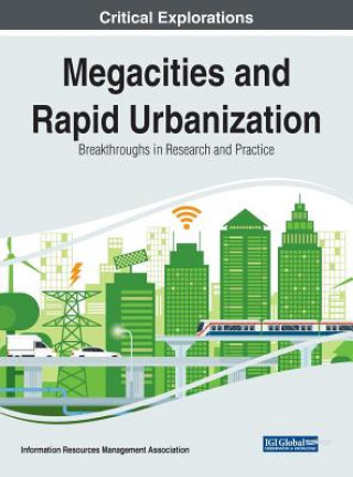Kniha Megacities and Rapid Urbanization Information Reso Management Association