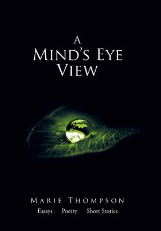 Kniha Mind's Eye View Thompson Marie Thompson