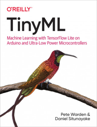 Könyv Tiny ML Pete Warden