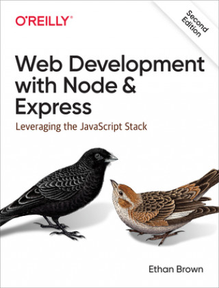 Buch Web Development with Node and Express Ethan Brown