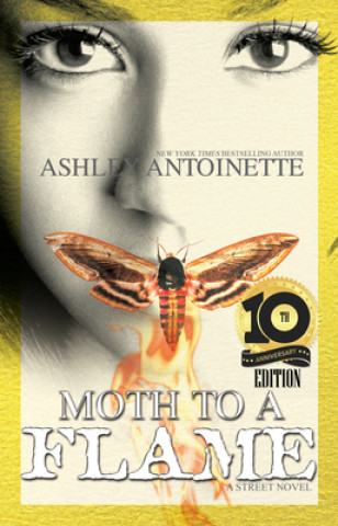 Kniha Moth To A Flame Ashley Antoinette