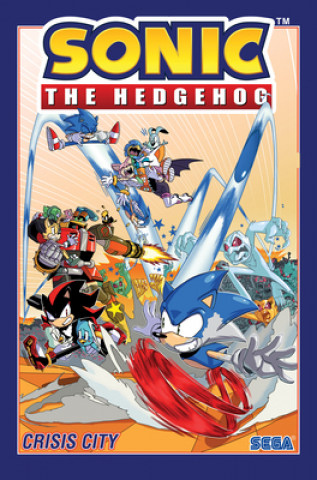 Carte Sonic The Hedgehog, Volume 5: Crisis City Ian Flynn
