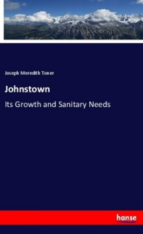Knjiga Johnstown Joseph Meredith Toner