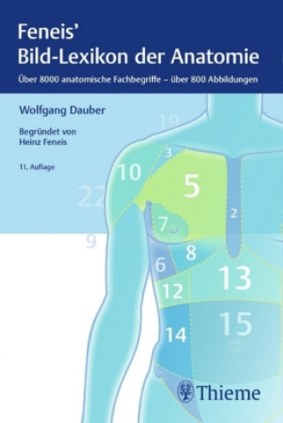 Kniha Bild-Lexikon der Anatomie Wolfgang Dauber