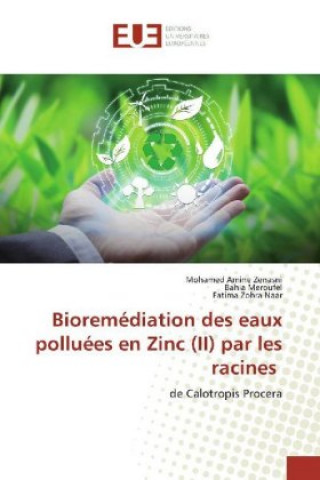 Carte Bioremédiation des eaux polluées en Zinc (II) par les racines Mohamed Amine Zenasni