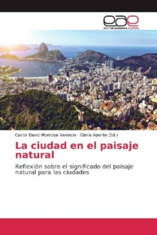 Könyv La ciudad en el paisaje natural Carlos David Montoya Valencia