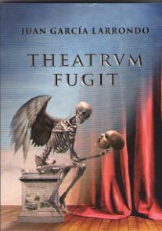 Книга THEATRUM FUGIT JUAN GARCIA LARRONDO