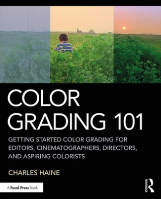 Könyv Color Grading 101 Haine