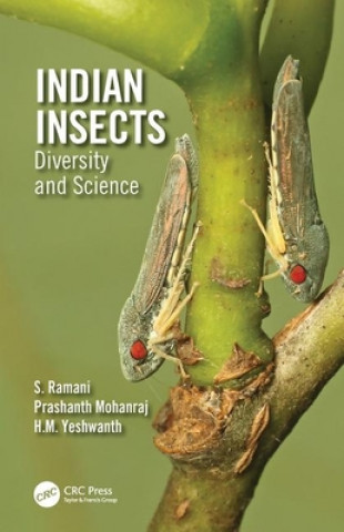 Buch Indian Insects S. Ramani