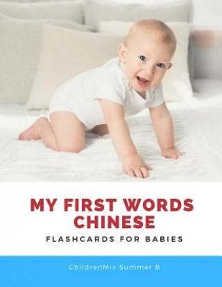 Kniha My First Words Chinese Flashcards for Babies: Easy and Fun Big Flash cards basic vocabulary with cute picture for kids. Childrenmix Summer B