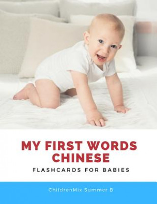 Book My First Words Chinese Flashcards for Babies: Easy and Fun Big Flash cards basic vocabulary with cute picture for kids. Childrenmix Summer B