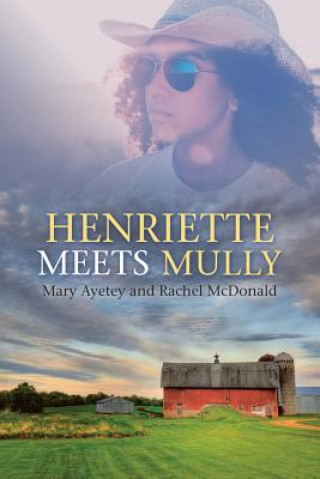 Könyv Henriette Meets Mully MARY AYETEY