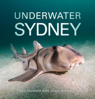 Kniha Underwater Sydney Inke Falkner