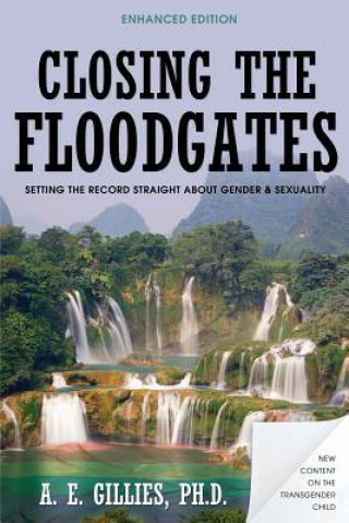 Könyv Closing the Floodgates (Revised Edition) PH.D. A. E. GILLIES
